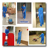 青島好管家清潔服務(wù) 互聯(lián)網(wǎng)時代的專業(yè)清潔供應(yīng)