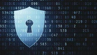 解讀互聯(lián)網(wǎng)新聞信息服務(wù)管理新規(guī) 監(jiān)管升級(jí)，責(zé)任強(qiáng)化